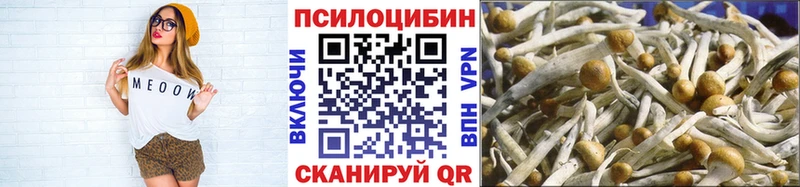 Галлюциногенные грибы Psilocybe  Нягань 